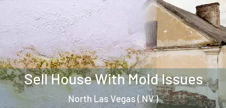  Sell House With Mold Issues North Las Vegas ( NV )